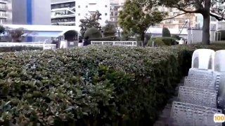 上门干大奶少妇 舔屌跪在床上深喉口交 翘起大屁股后入 抬起腿侧入抽插猛操